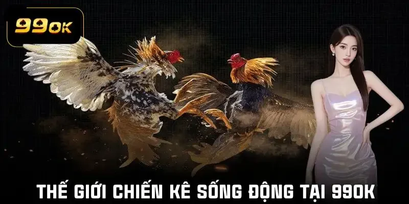 da-ga-99ok-gioi-thieu